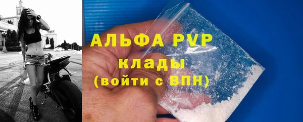 стаф Аркадак