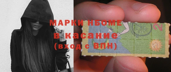 стаф Аркадак