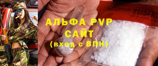 стаф Аркадак