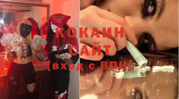 стаф Аркадак