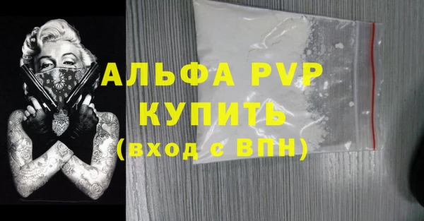 стаф Аркадак