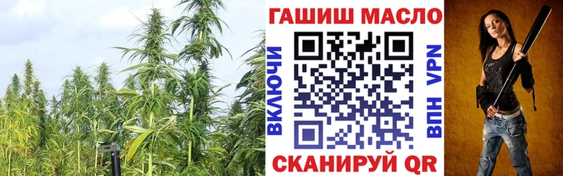 купить наркотики цена  Правдинск  ТГК концентрат 